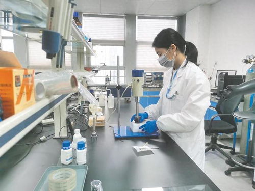 南寧市聚力政策落實與科技研發，賦能民營經濟高質量發展