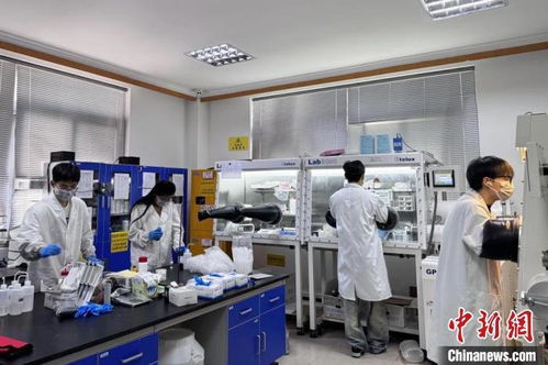中國高校創(chuàng)新突破 鋰電再生隔膜新材料研發(fā)引領綠色能源未來