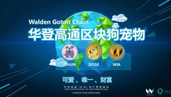 華登區(qū)塊狗推廣機(jī)制開(kāi)發(fā)系統(tǒng) 廣州軟件開(kāi)發(fā)的創(chuàng)新實(shí)踐