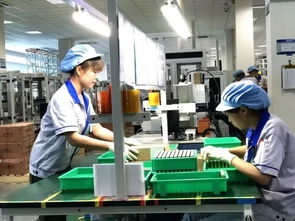 海曙紀(jì)事 8月工程機(jī)械技術(shù)研發(fā)新突破